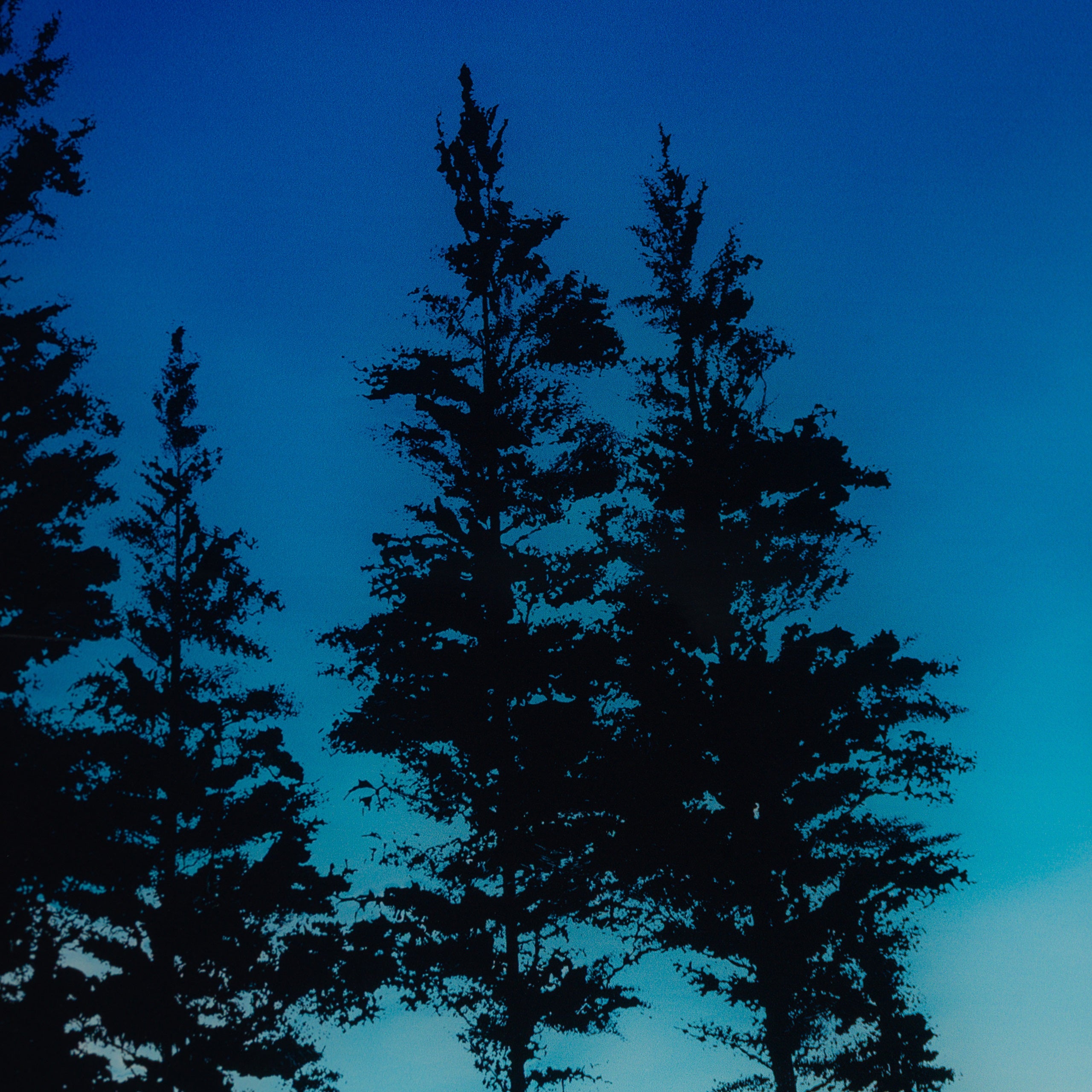 RRO SLE LAN 17596 5 Remind Me Never To Forget