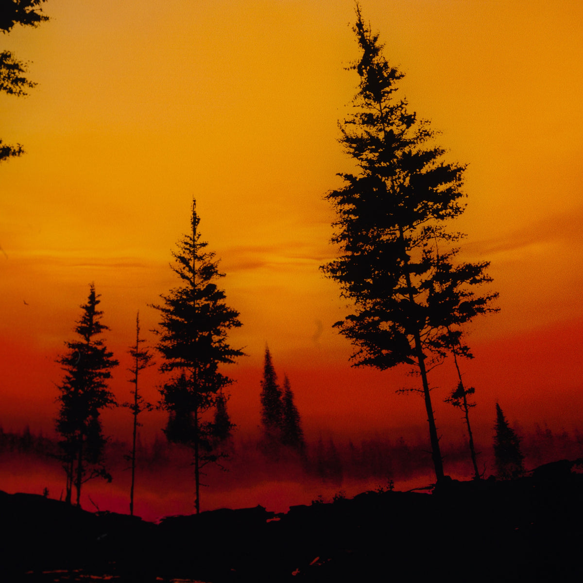 RRO SLE LAN 20101 5 Day Turns Night