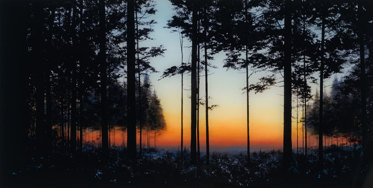 RRO SLE LAN 20103 31 Life s A Symphony