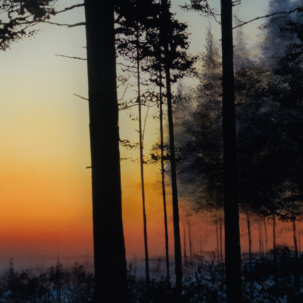 RRO SLE LAN 20103 5 Life s A Symphony