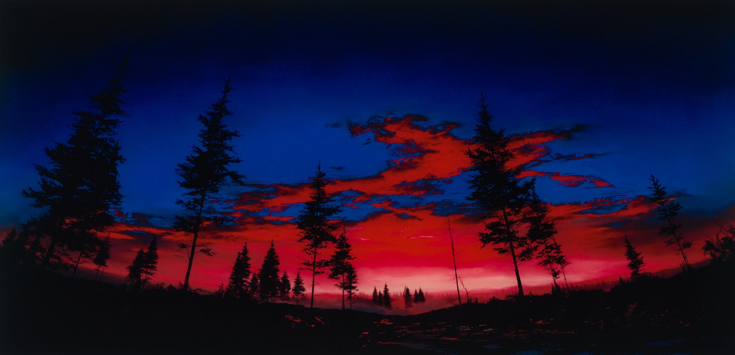 RRO SLE LAN 21486 3 Will Find You Again