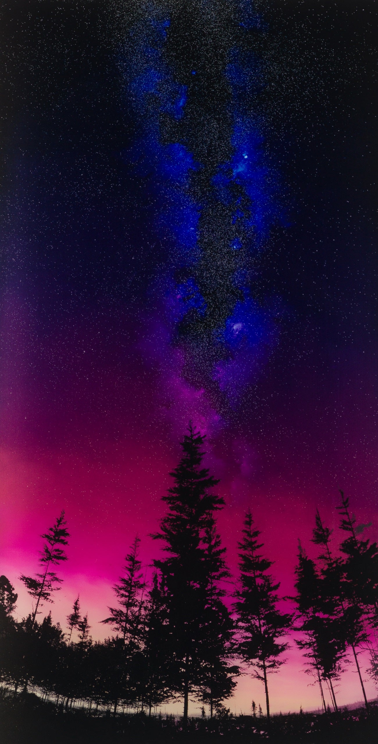 RRO SLE LAN 23213 31 Letting Go