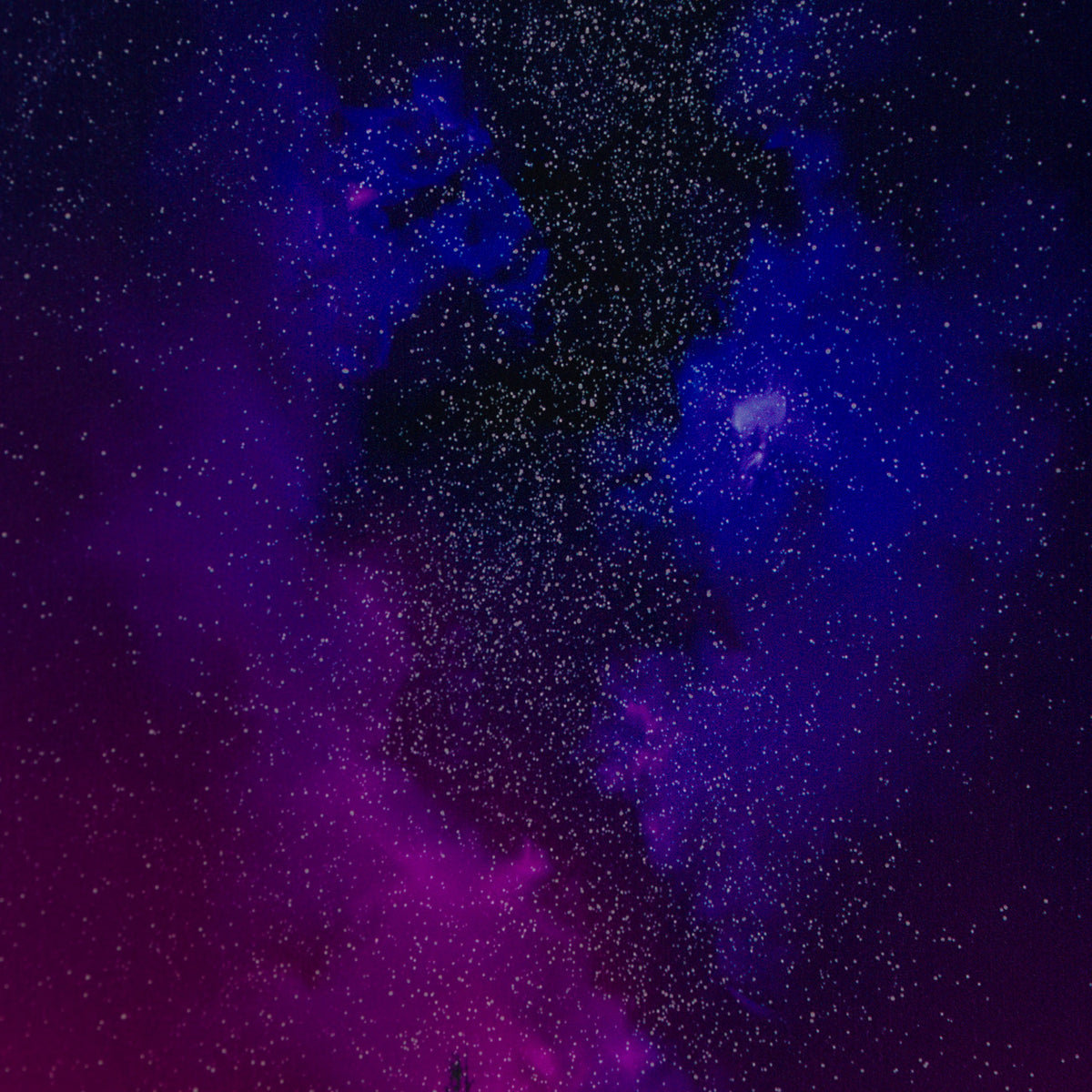 RRO SLE LAN 23213 5 Letting Go