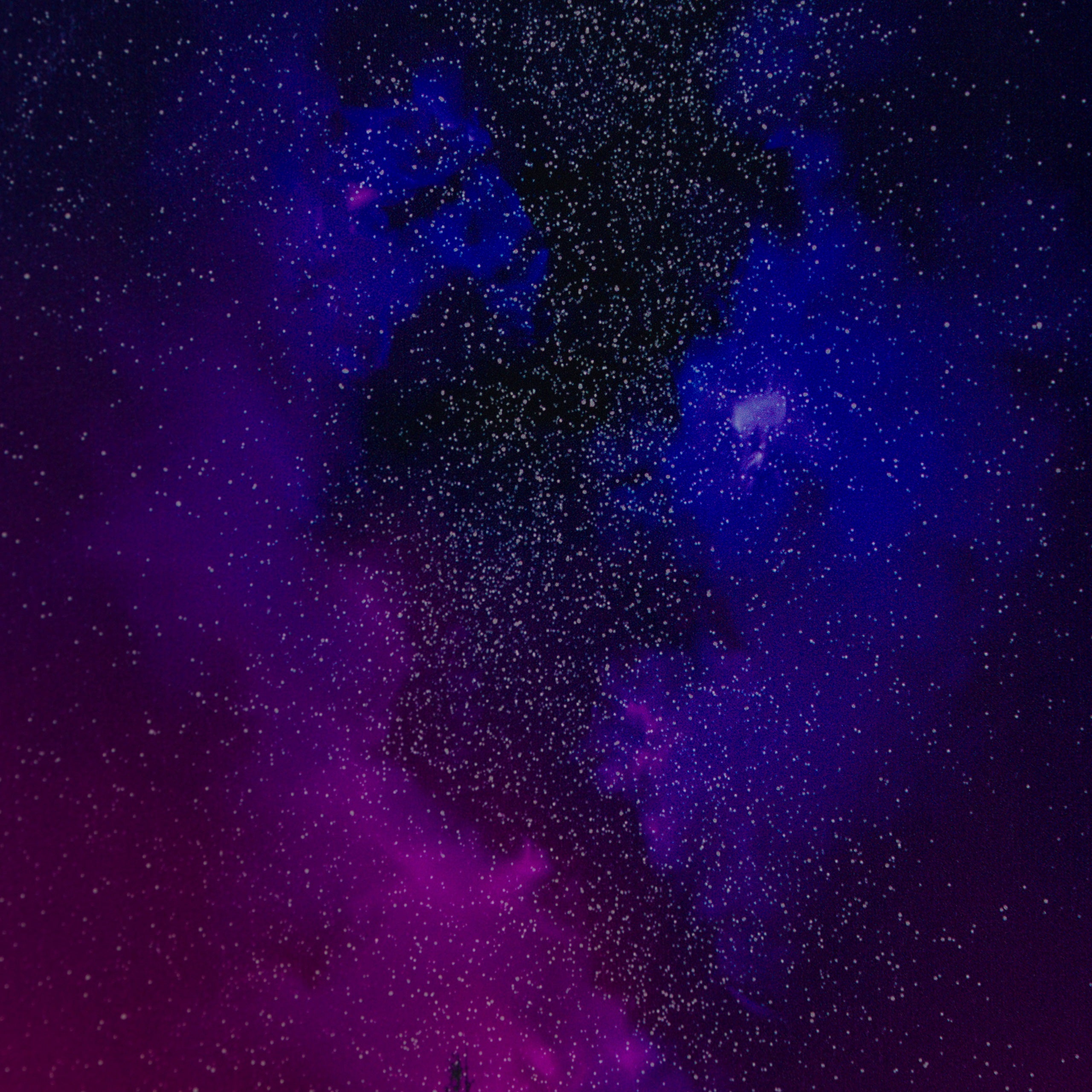 RRO SLE LAN 23213 5 Letting Go