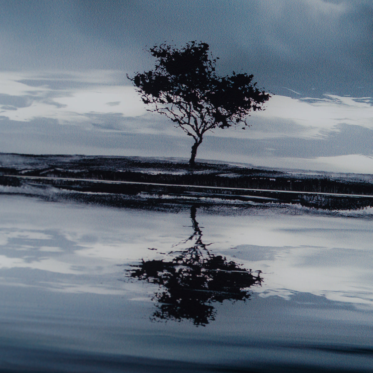 RRO SLE LAN 28843 7 Better Days