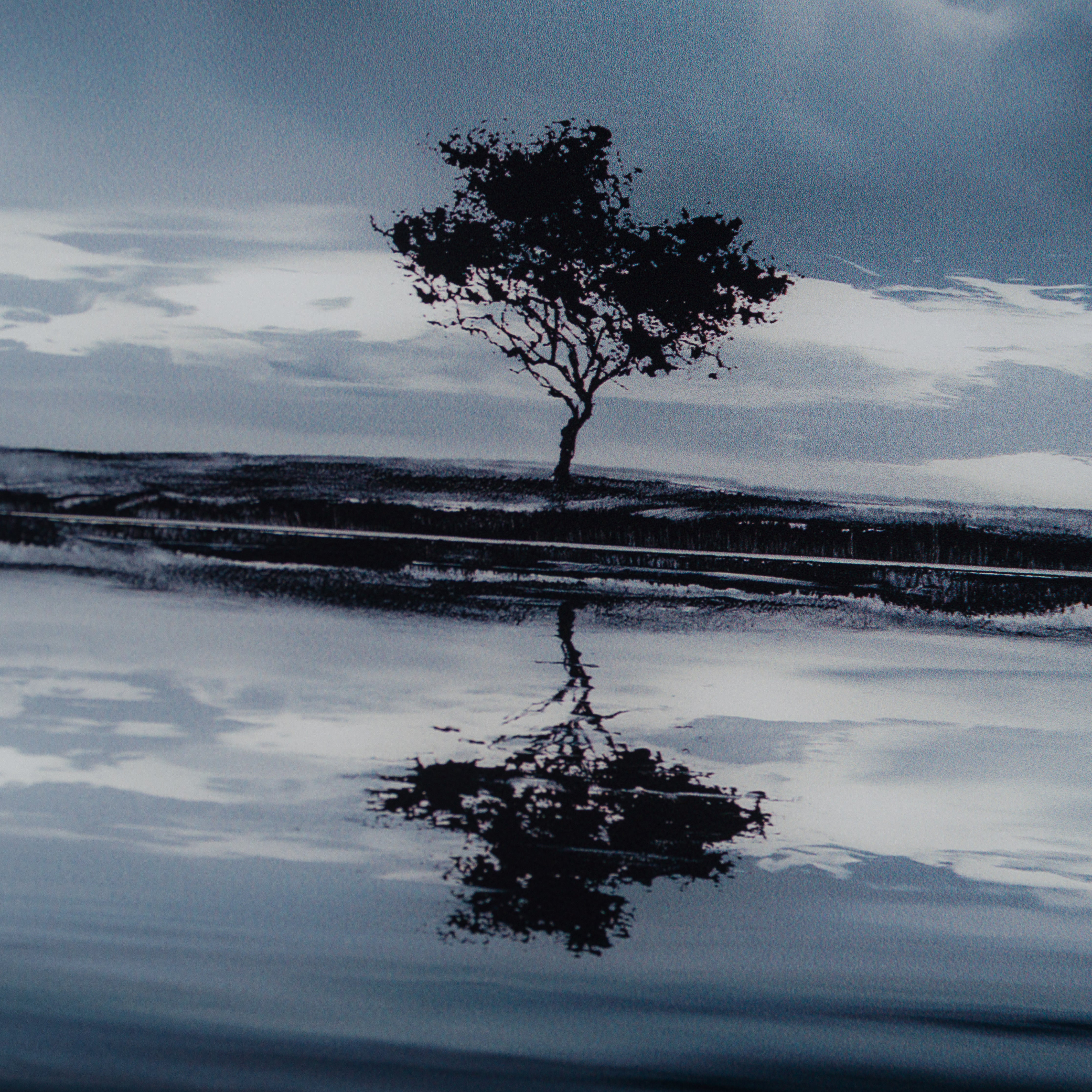 RRO SLE LAN 28843 7 Better Days