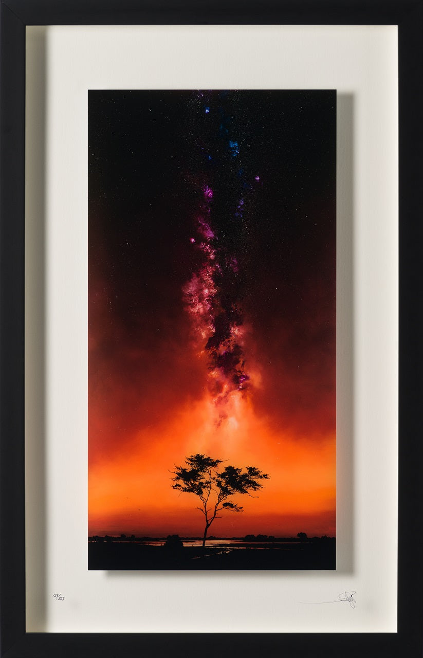 RRO SLE LAN 30279 30 Utopia