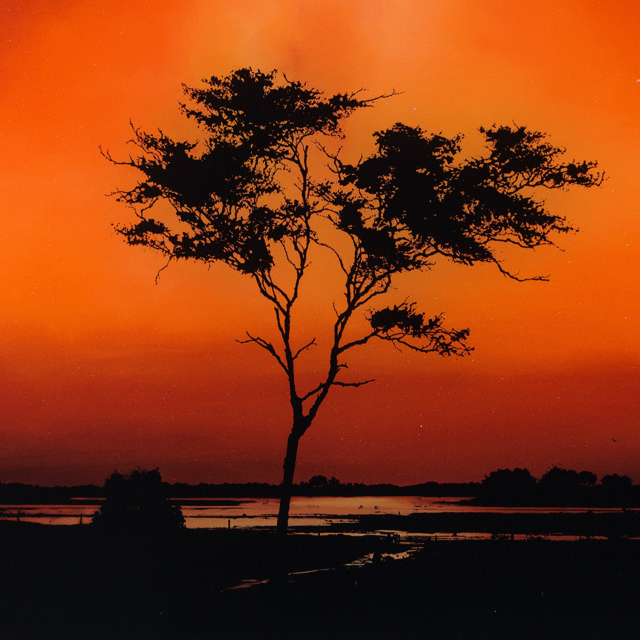 RRO SLE LAN 30279 5 Utopia