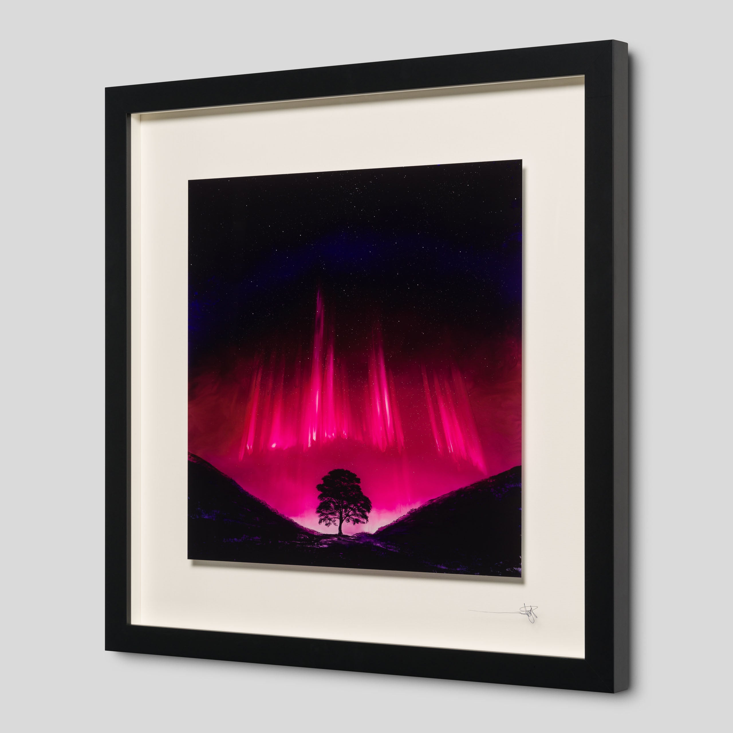 RRO SLE LAN 34329 Forever Sycamore 2