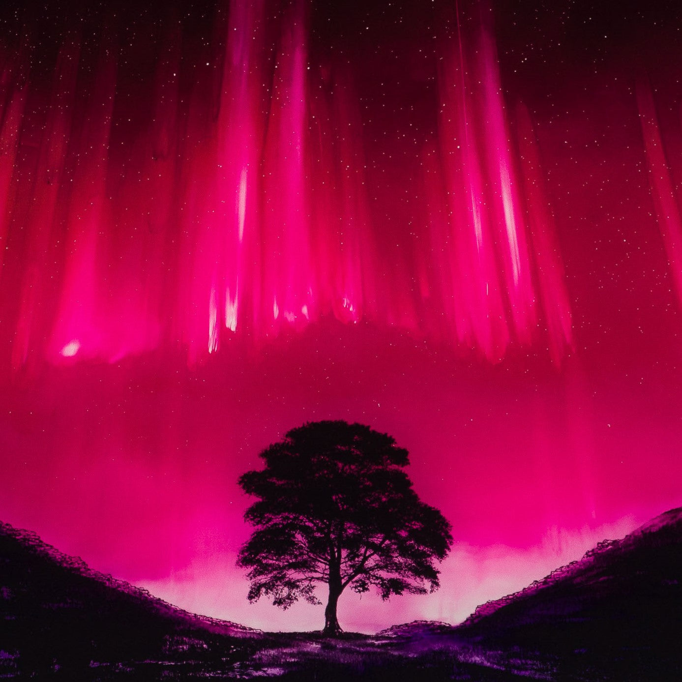 RRO SLE LAN 34329 Forever Sycamore 31