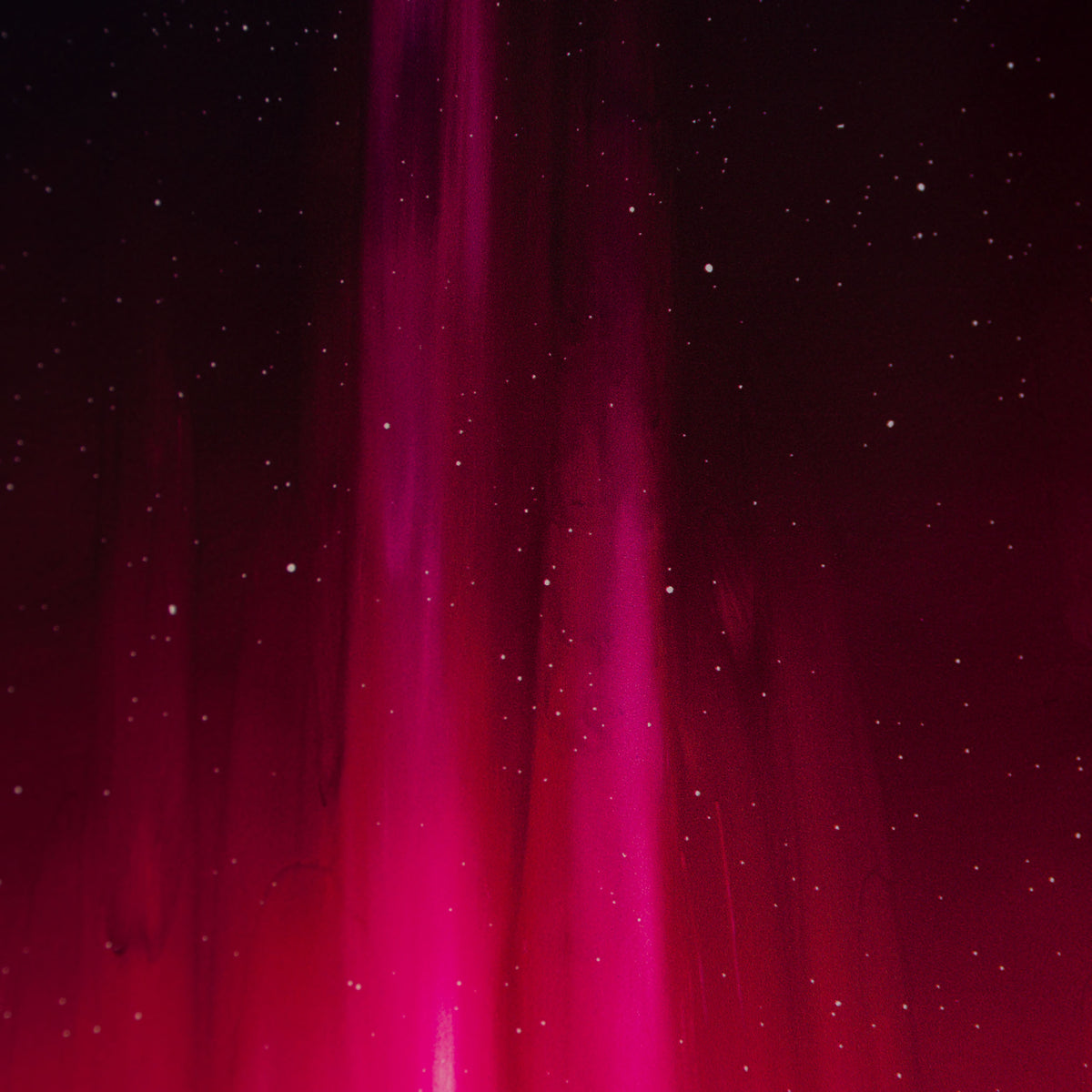 RRO SLE LAN 34329 Forever Sycamore 6