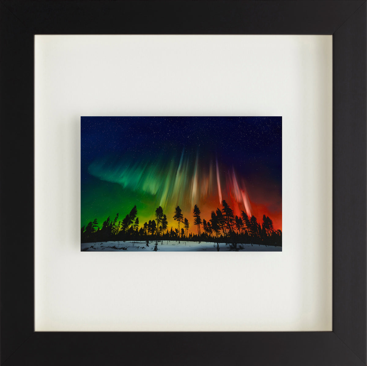 RRO%20Nature%20Awakens FNC