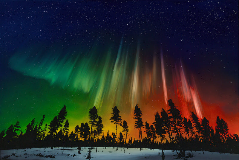 RRO%20nature%20awakens