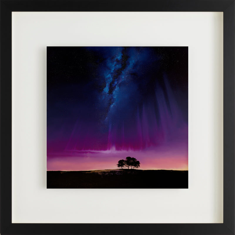 RRO%20Symphony%20of%20Light FNC