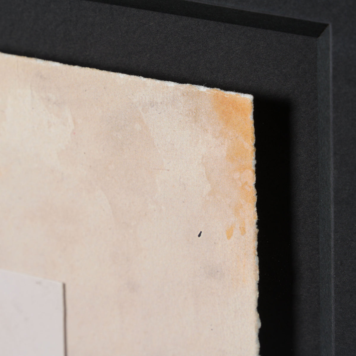 SEU All I need is a reindeer 6