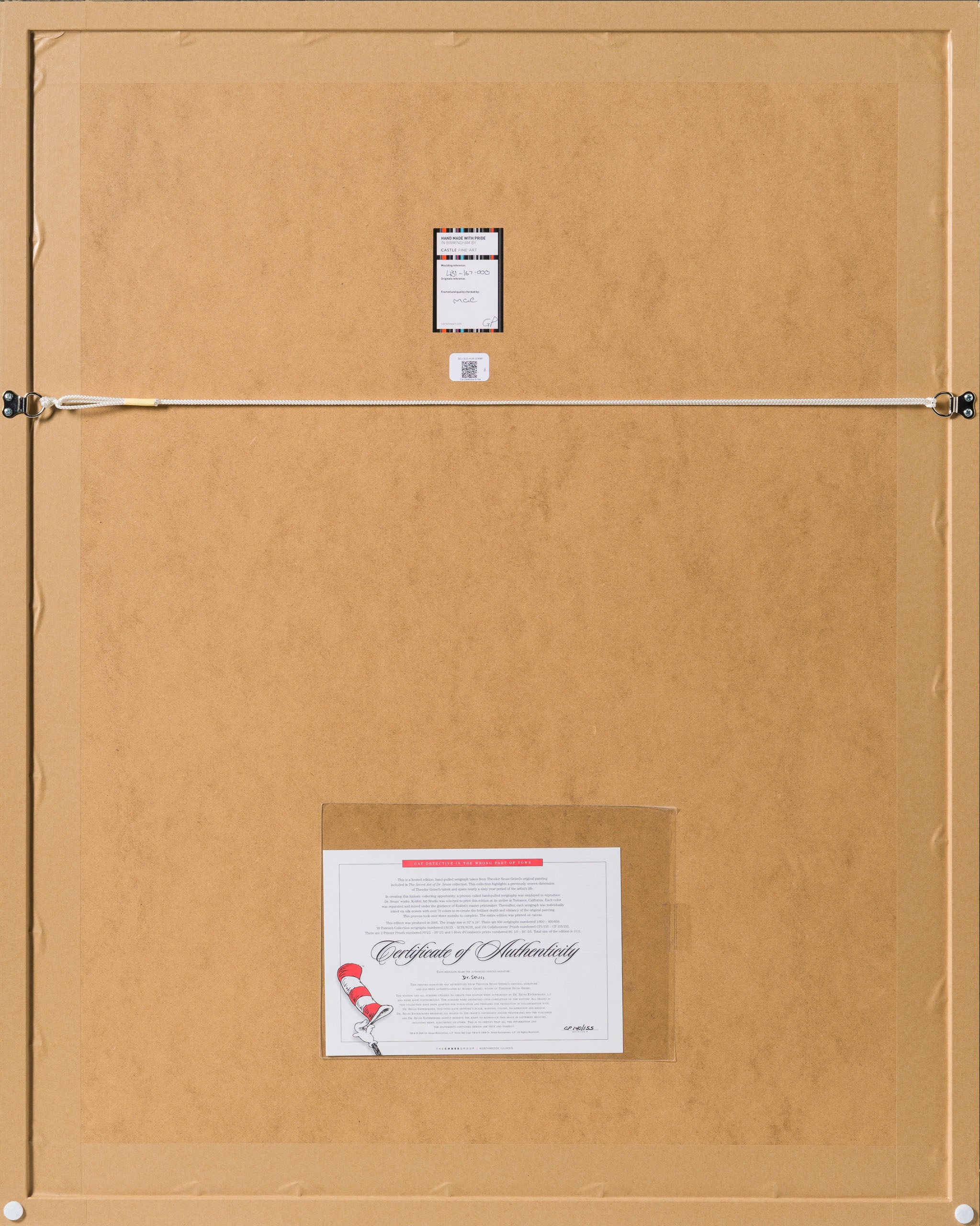 SEU Cat Detective in the wrong part of town 7