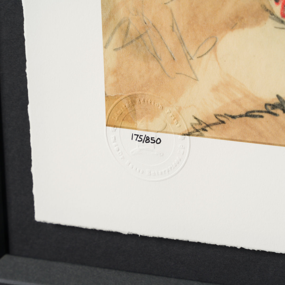 SEU Fox in Socks – Diptych and single 4