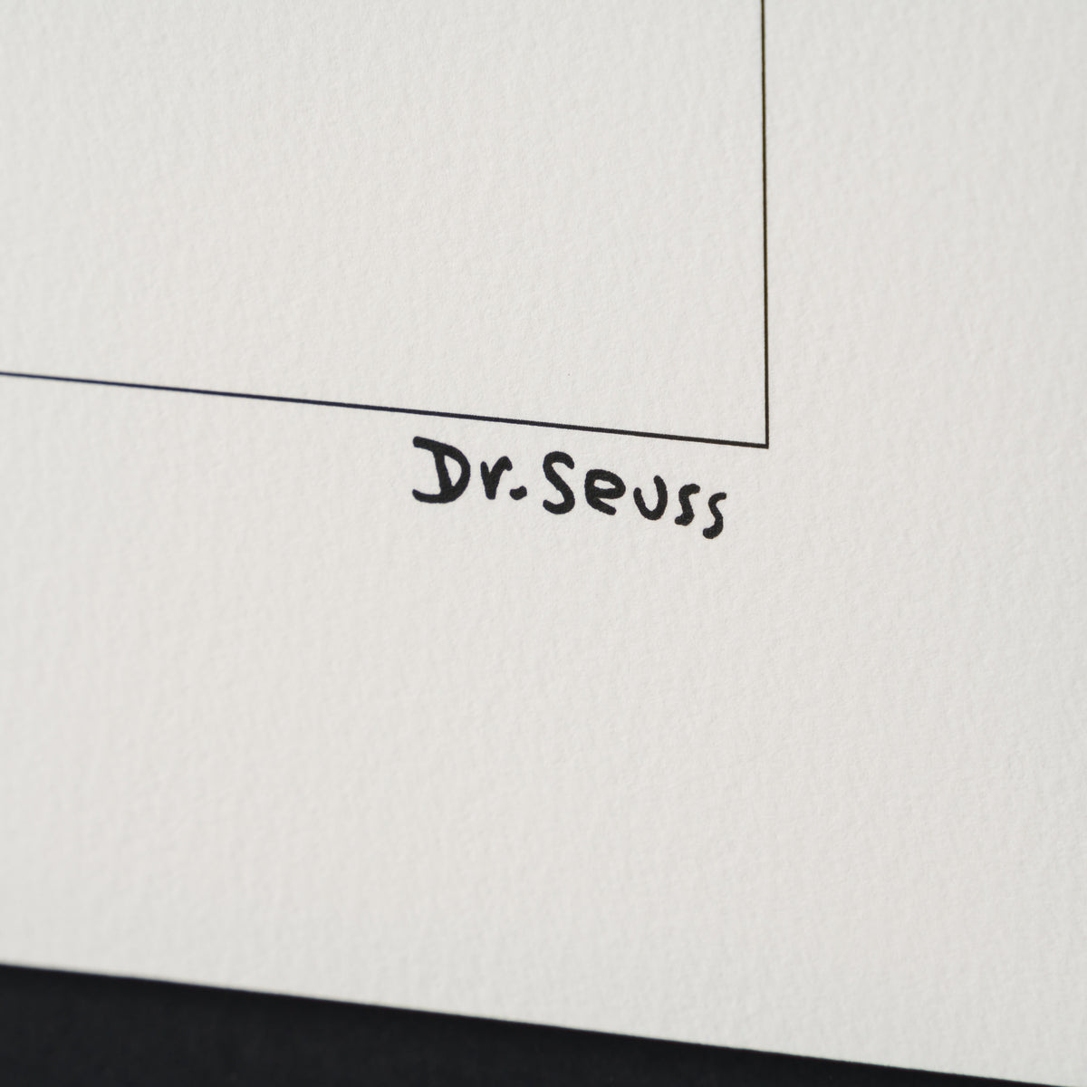 SEU Fox in Socks Single 3