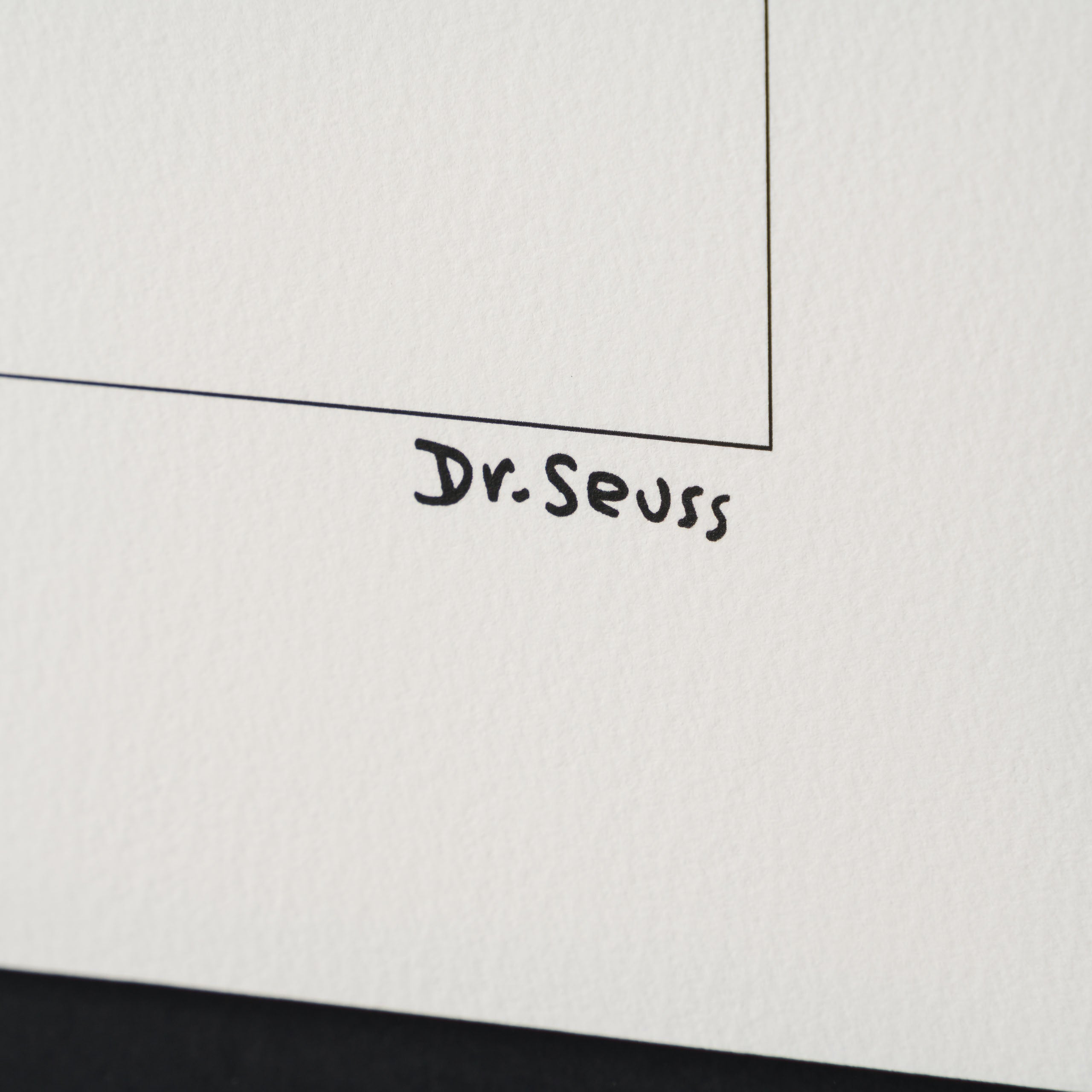 SEU Fox in Socks Single 3