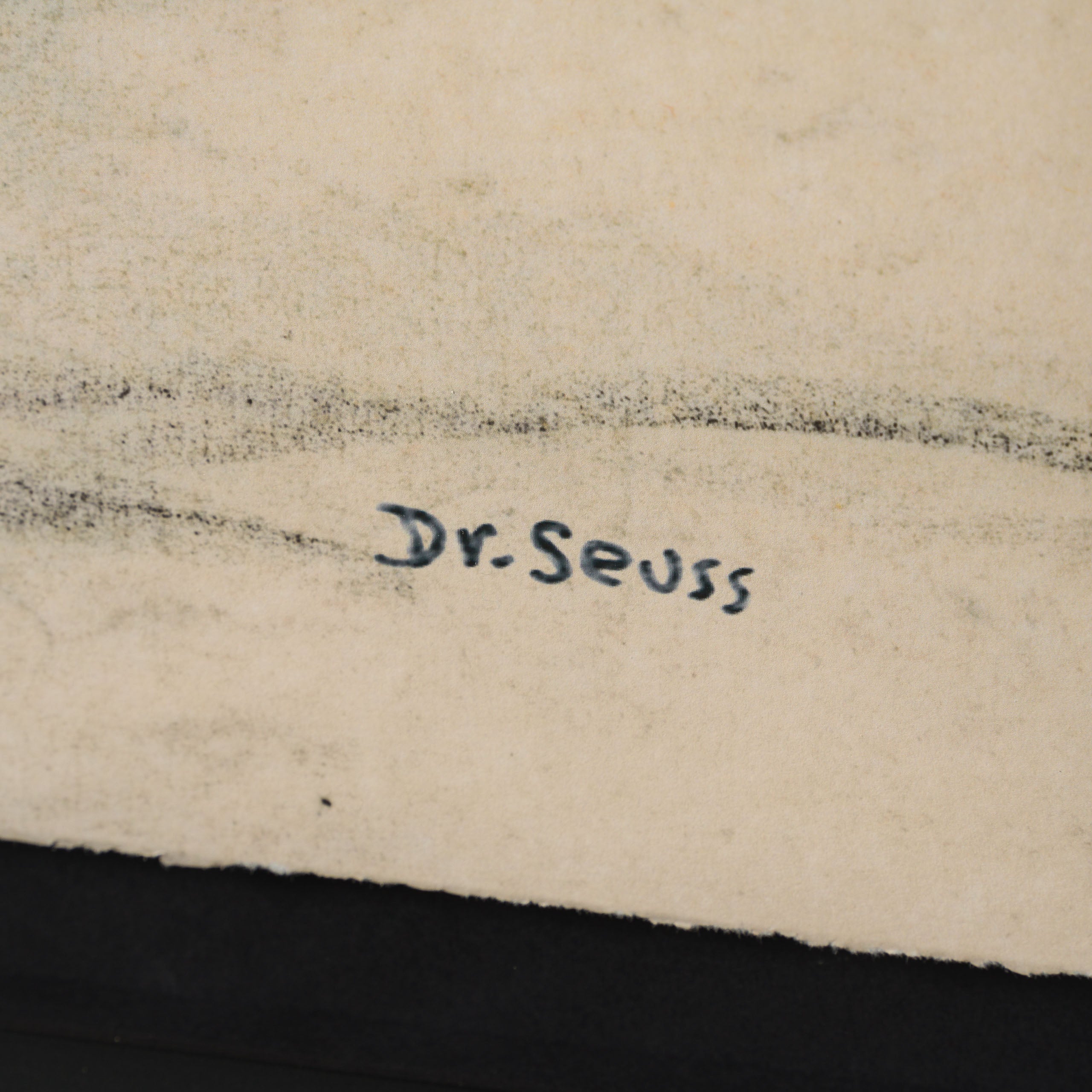 SEU Just north of Whoville 3