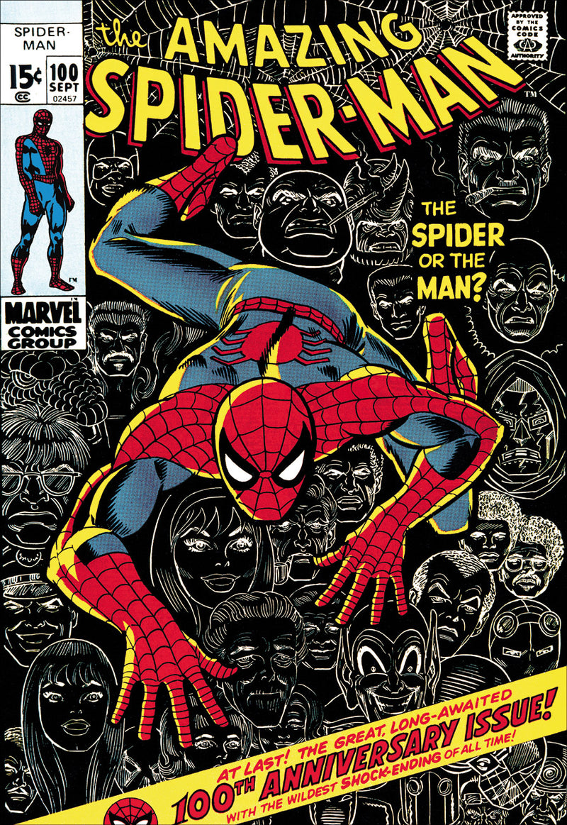SLE The Amazing Spider Man 100 The Spider or the man