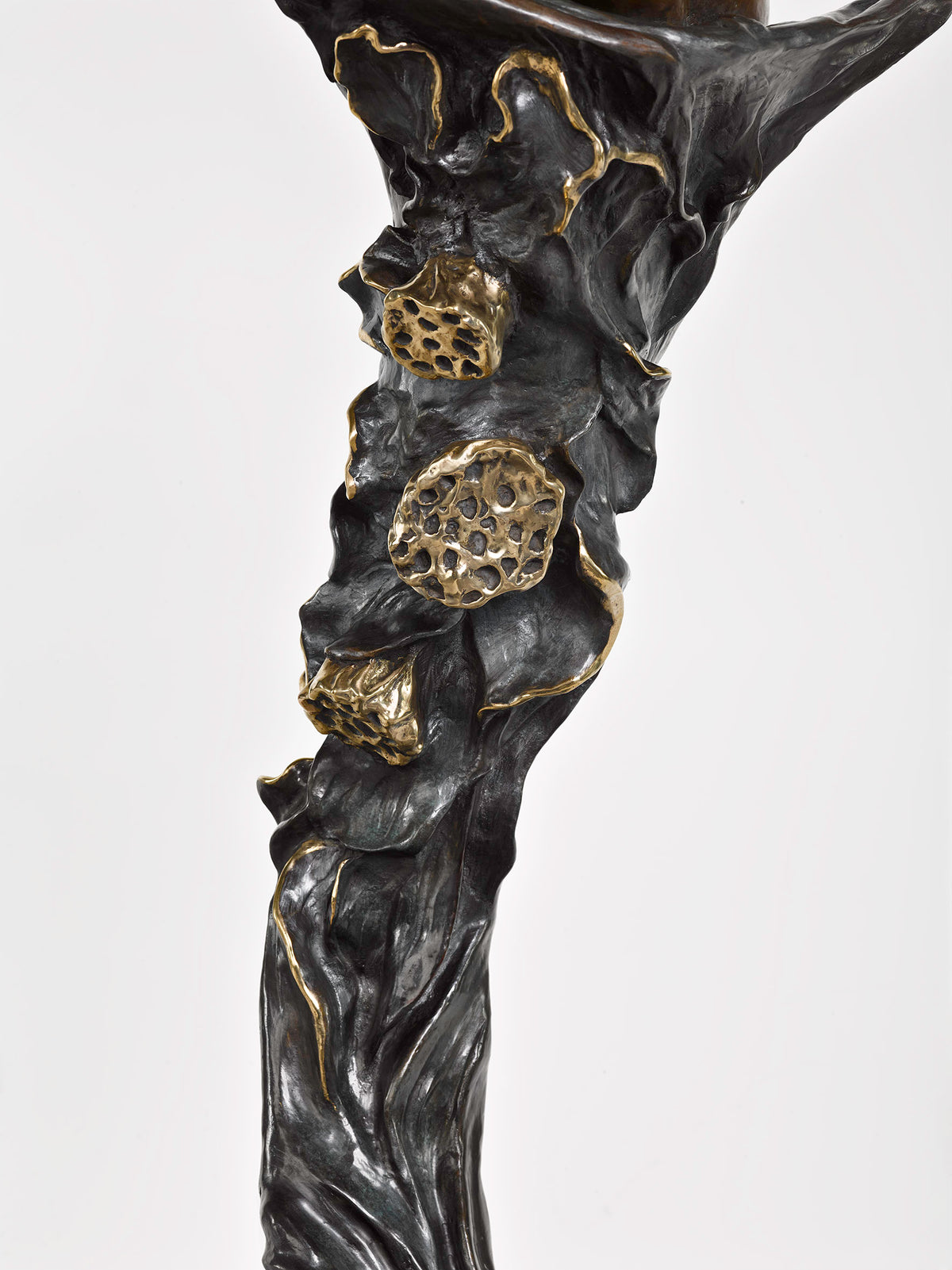 Spirit of the Lotus 3