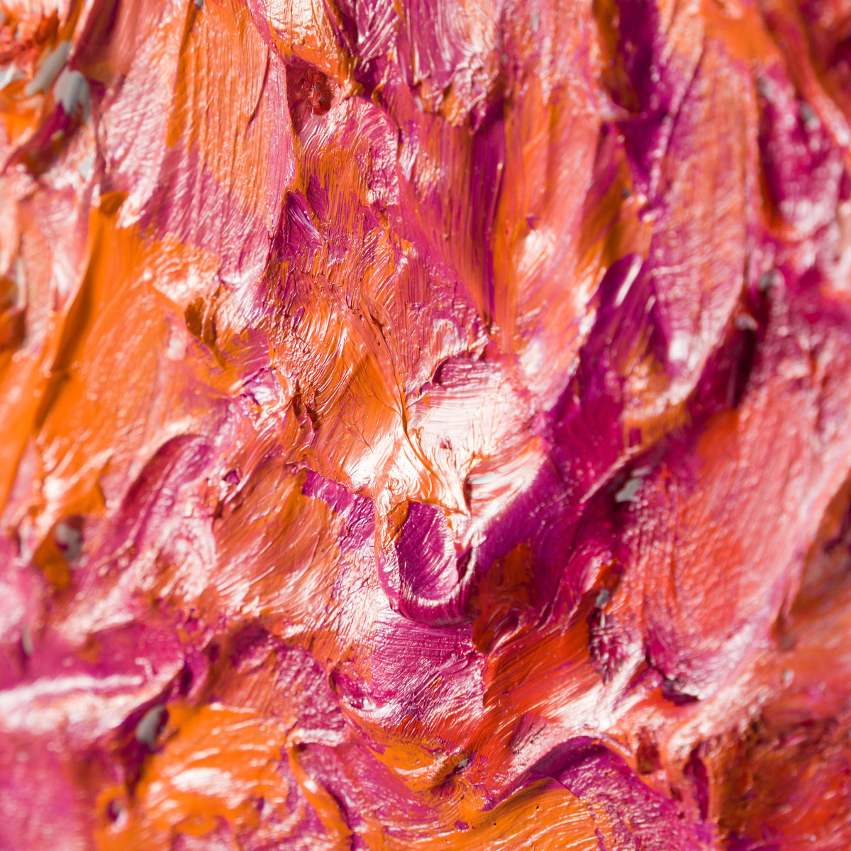 SRA ORI LAN 30476 9 Iris Field Evening Sky