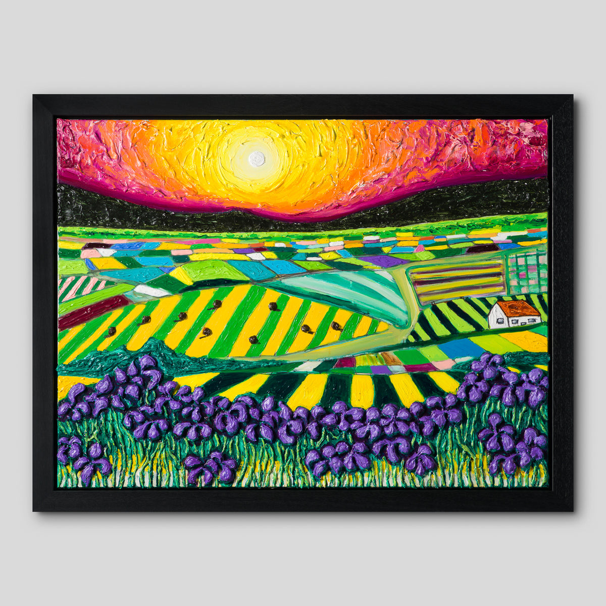 SRA ORI LAN 30476 TN Iris Field Evening Sky