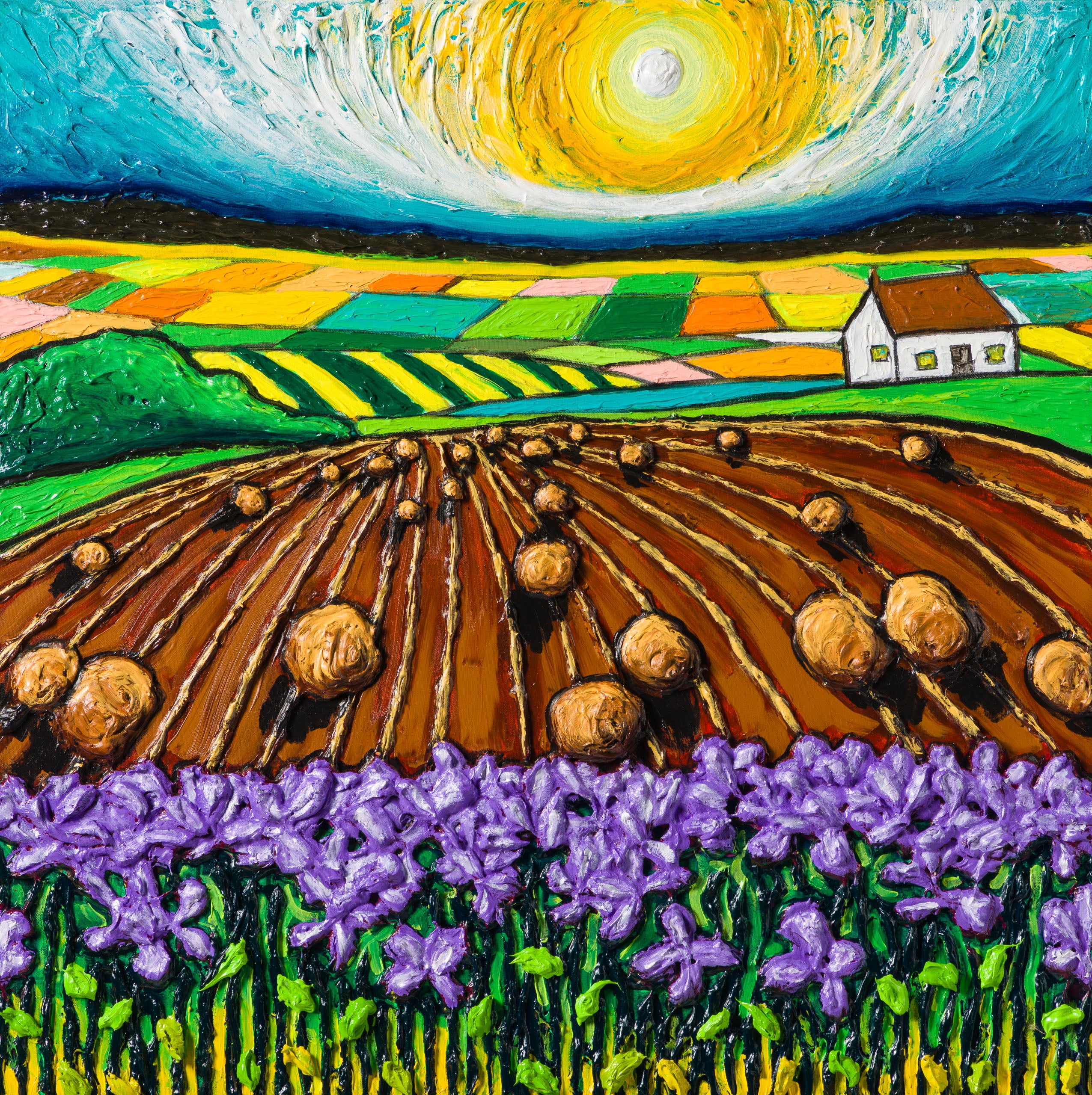 SRA ORI LAN 31982 Wildflowers by The Hay Bales 31