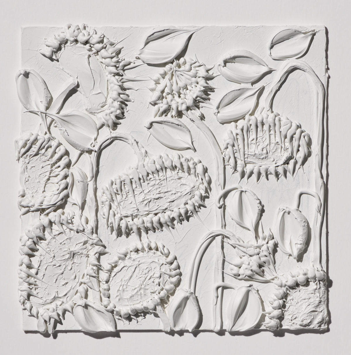 SRA ORI LAN 33593 Awe 31