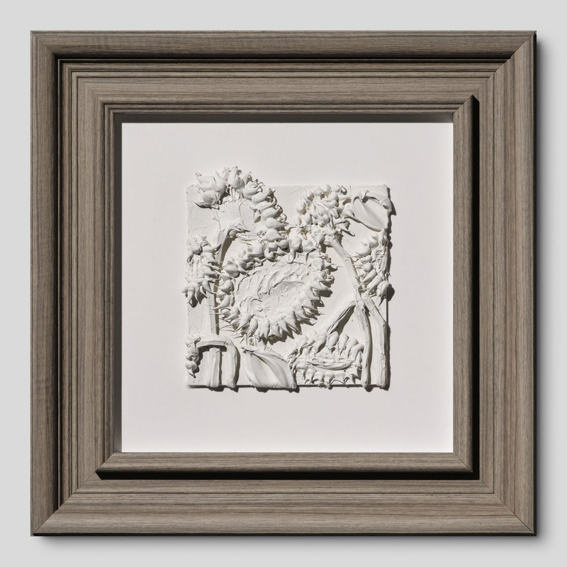 SRA ORI LAN 33608 Patience 1