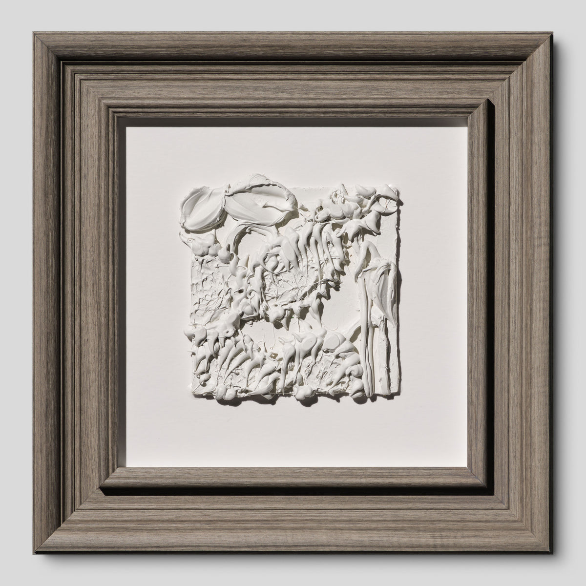 SRA ORI LAN 33609 Solidarity 1