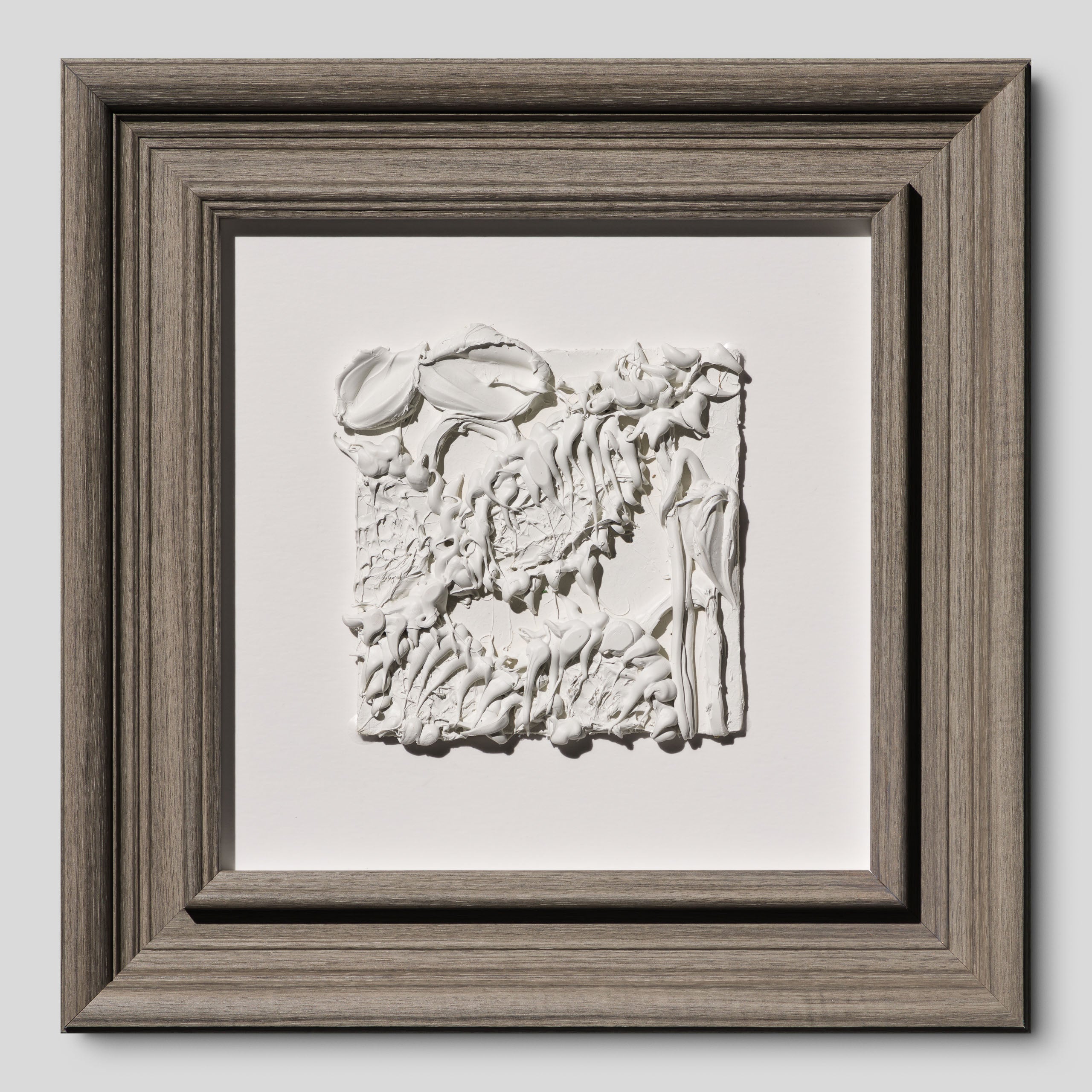 SRA ORI LAN 33609 Solidarity 1