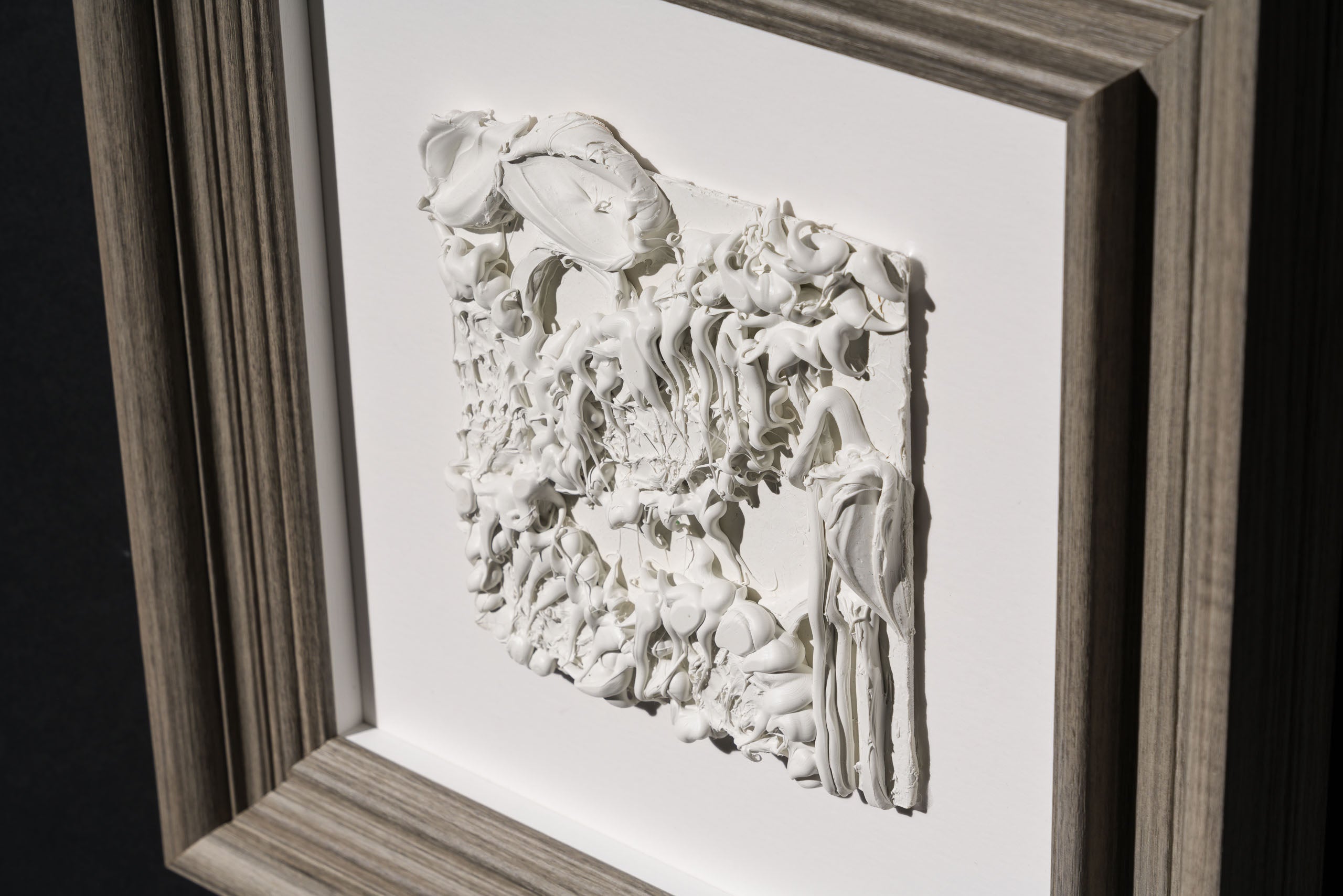 SRA ORI LAN 33609 Solidarity 3