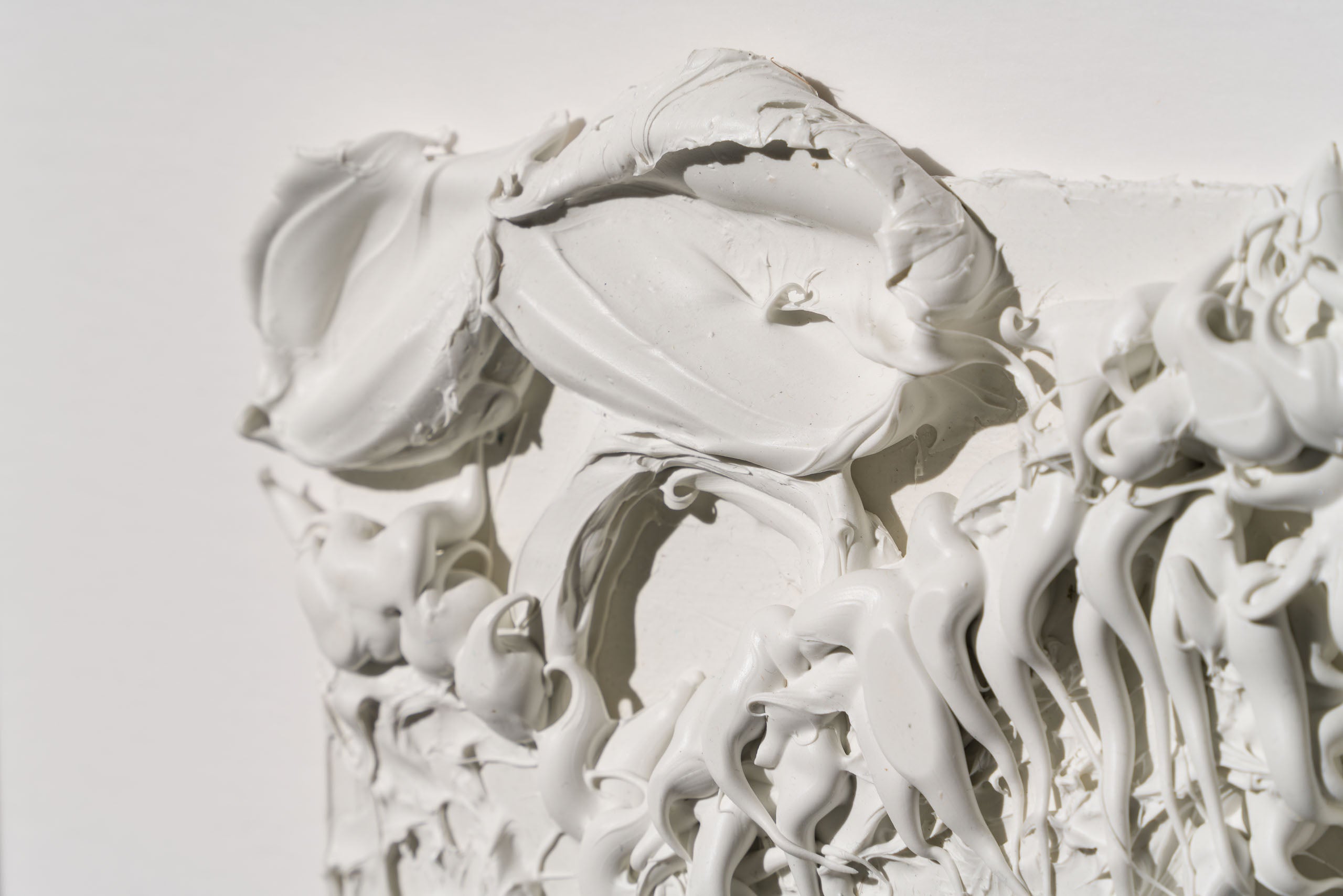 SRA ORI LAN 33609 Solidarity 5