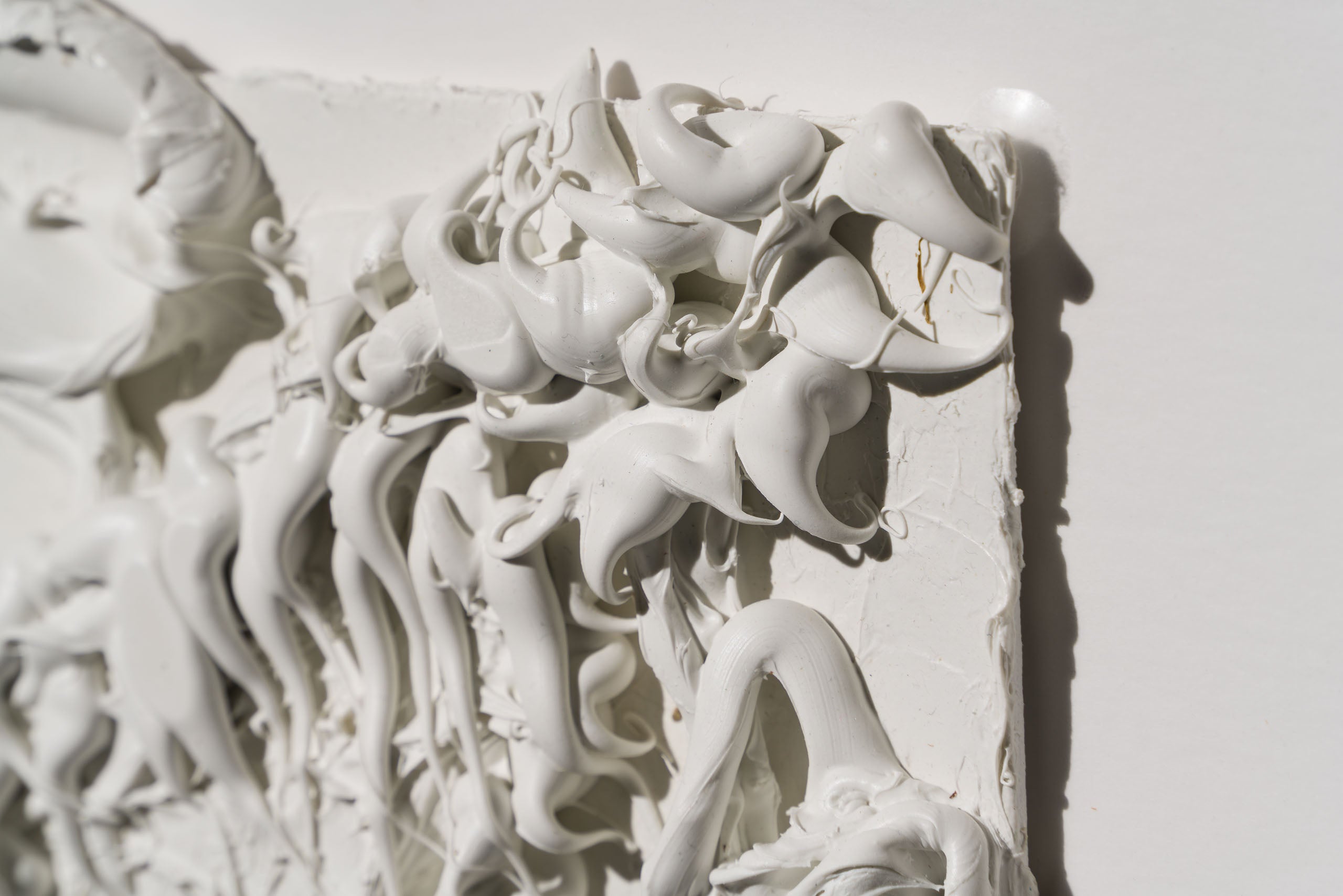 SRA ORI LAN 33609 Solidarity 6