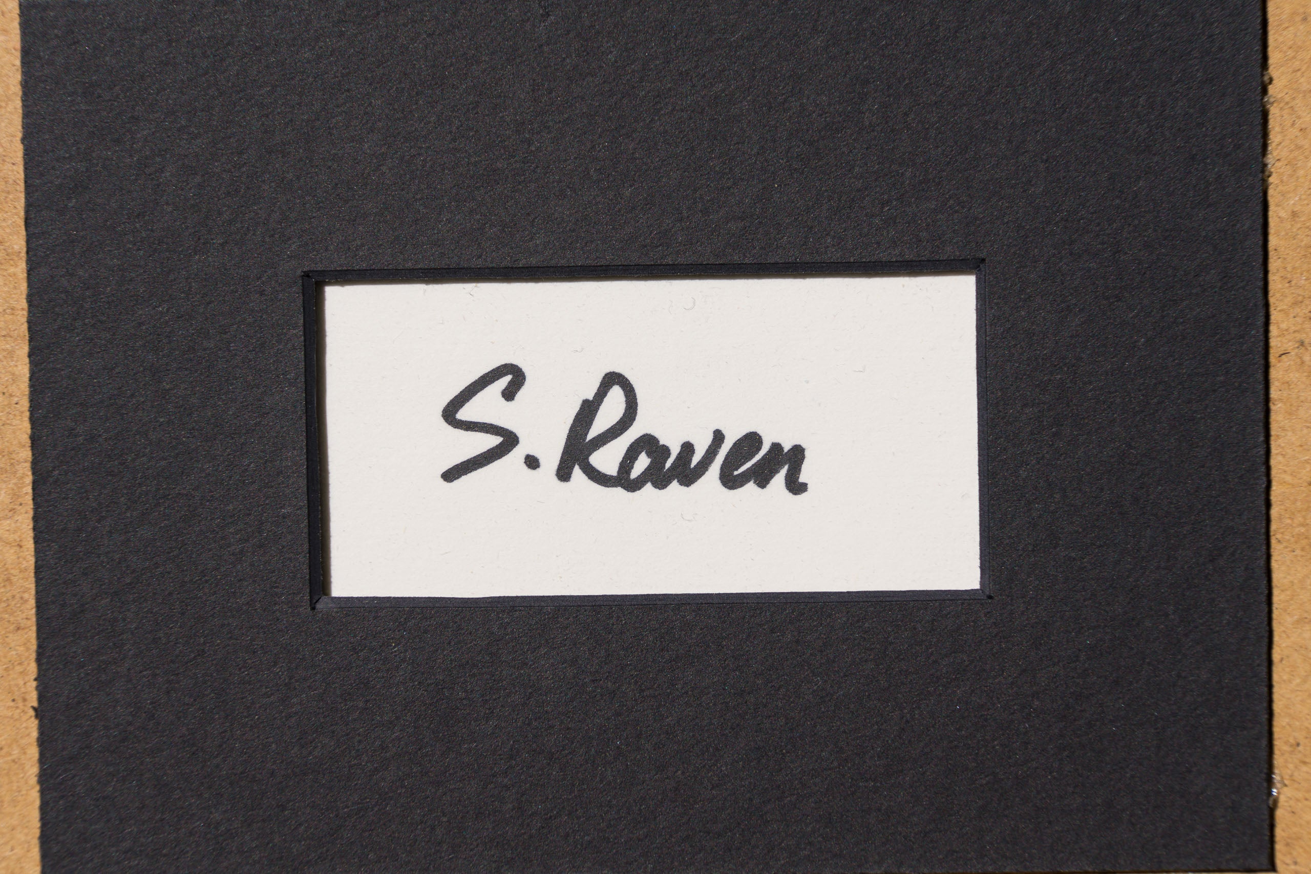 SRA ORI LAN 33609 Solidarity 8