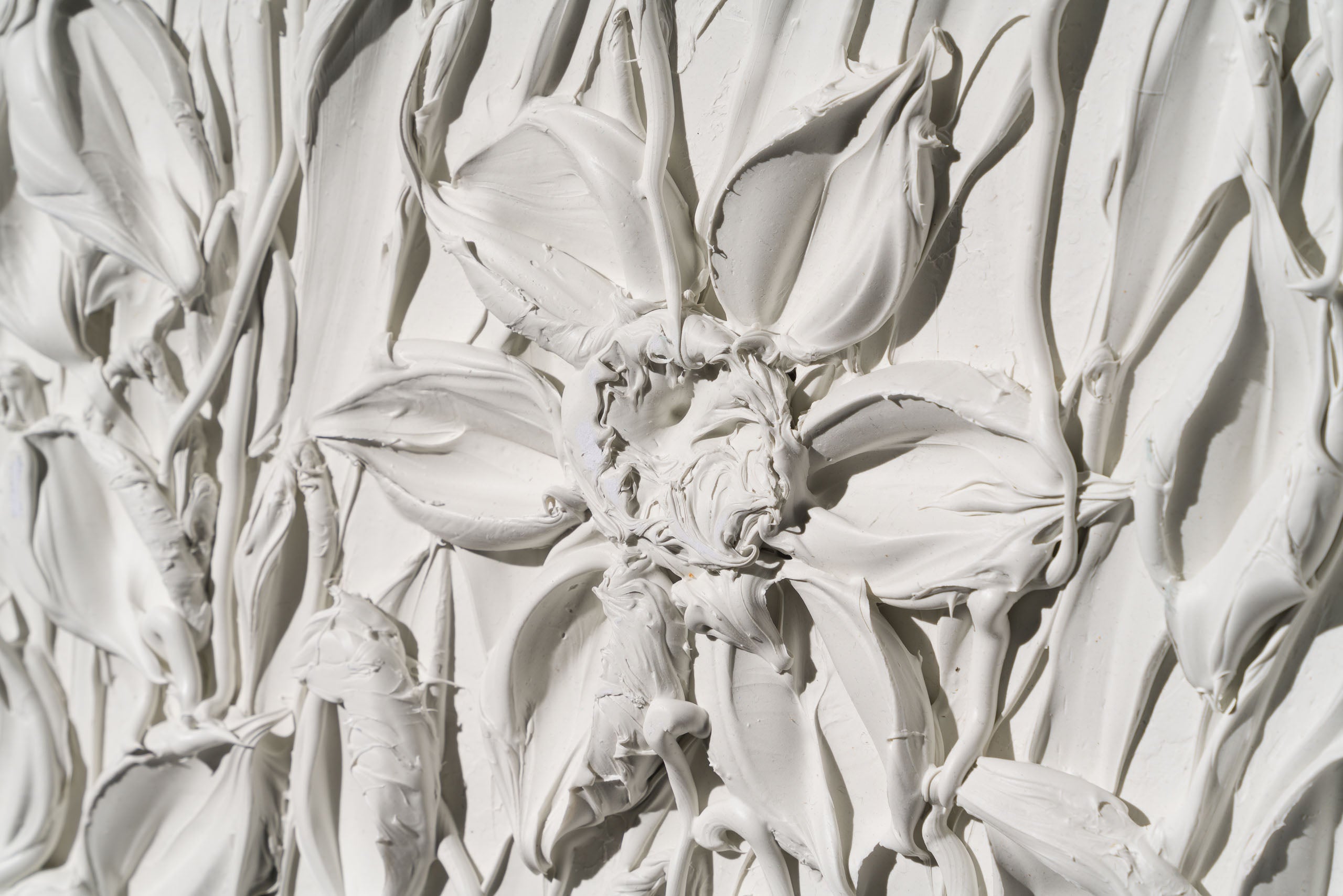 SRA ORI LAN 33614 Wonder 4