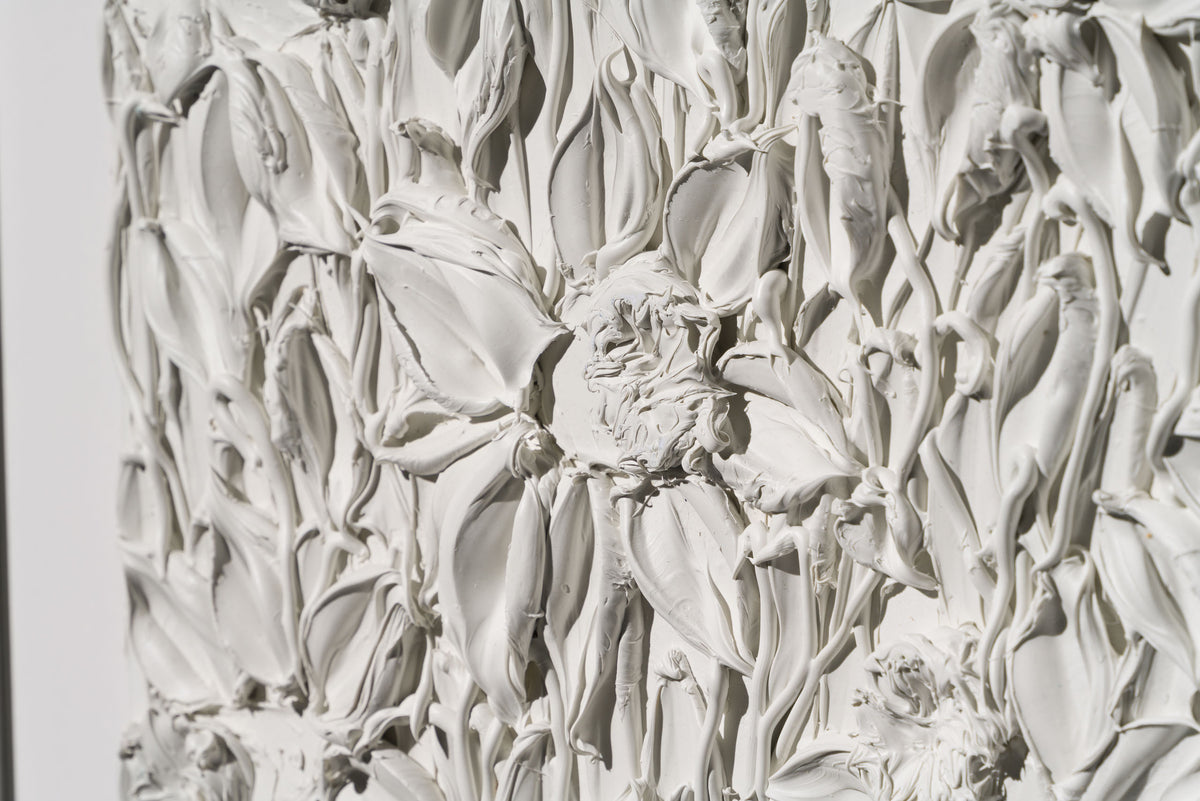 SRA ORI LAN 33614 Wonder 5