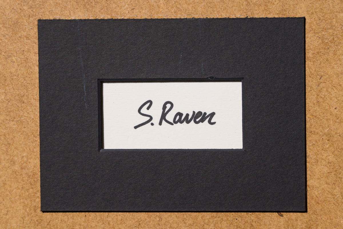 SRA ORI LAN 33707 Calm 8