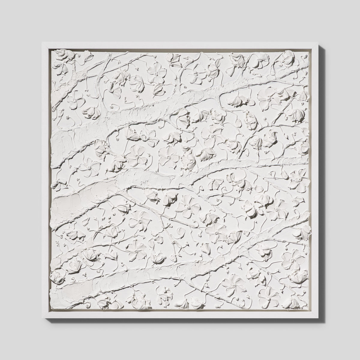 SRA ORI LAN 35856 Bloom 1