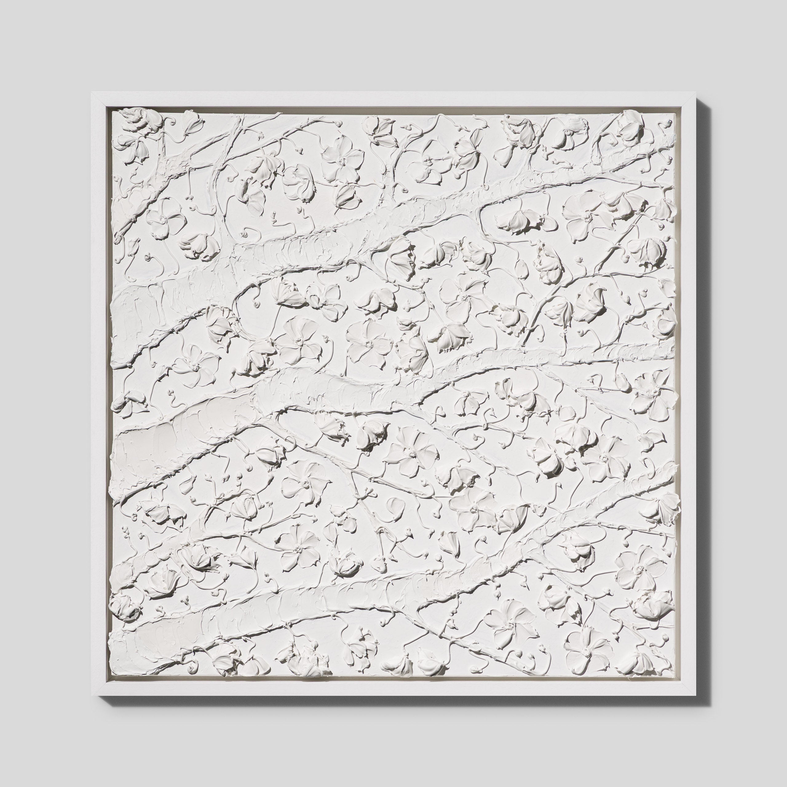 SRA ORI LAN 35856 Bloom 1