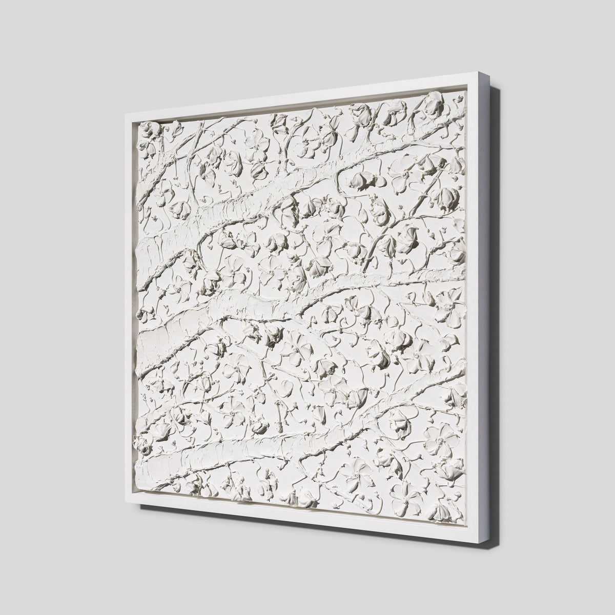 SRA ORI LAN 35856 Bloom 2