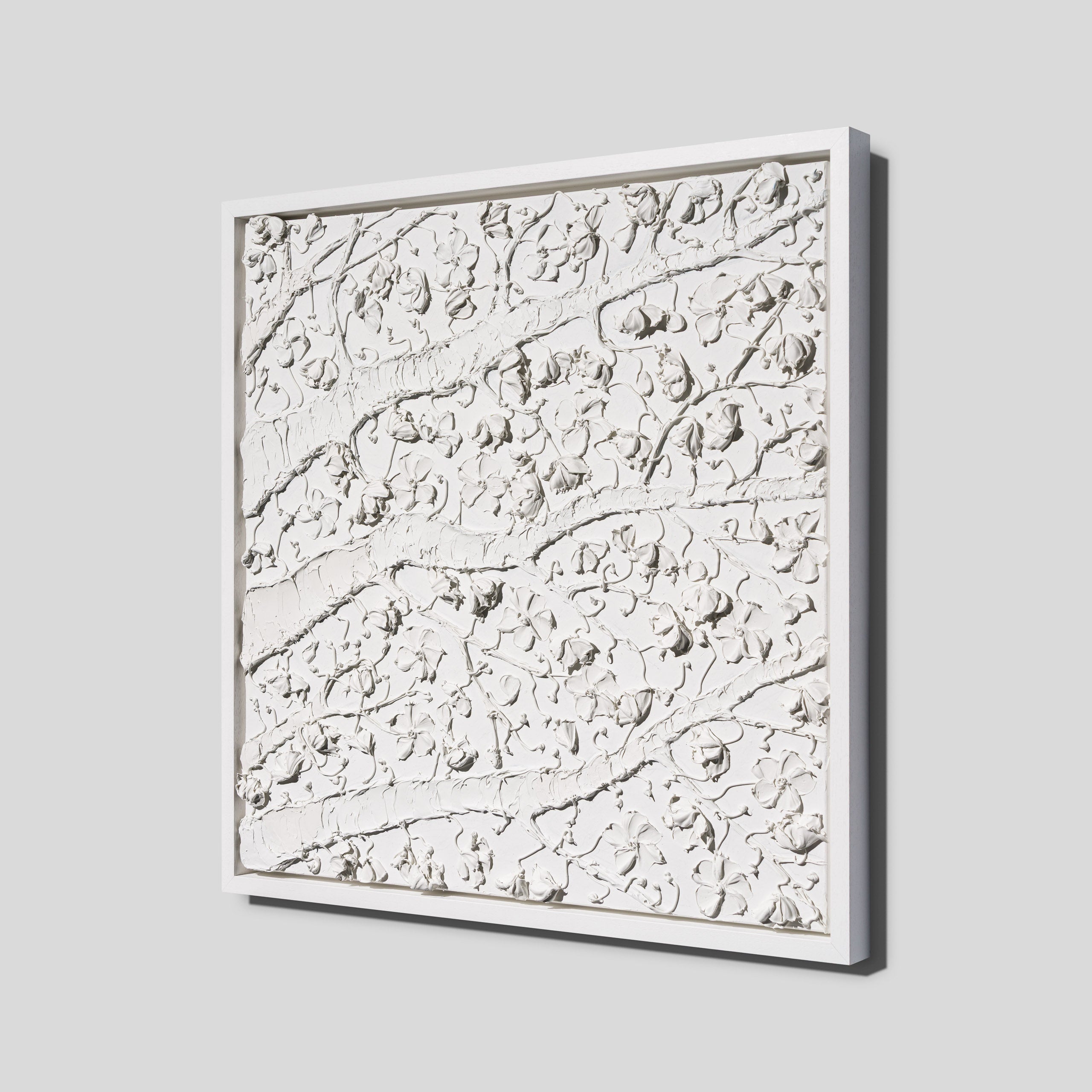 SRA ORI LAN 35856 Bloom 2