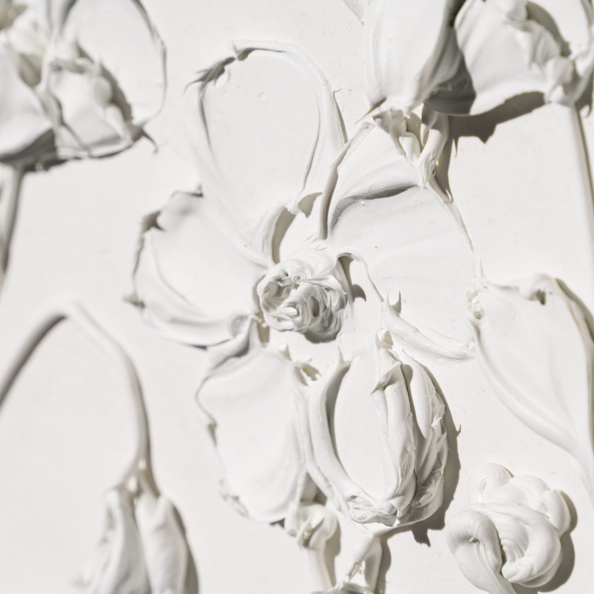 SRA ORI LAN 35871 Wisdom 5