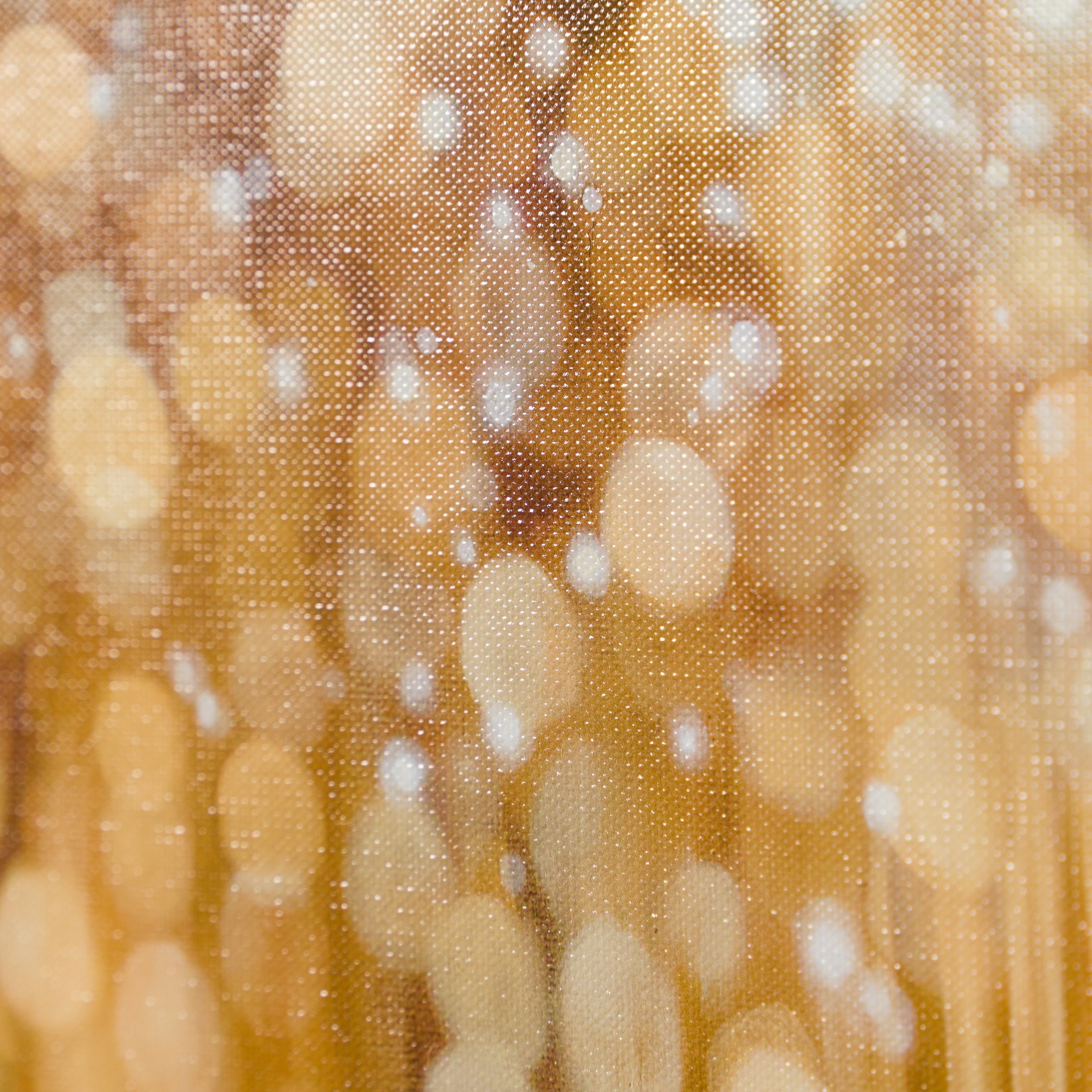 SRS Maude and Mabel 6