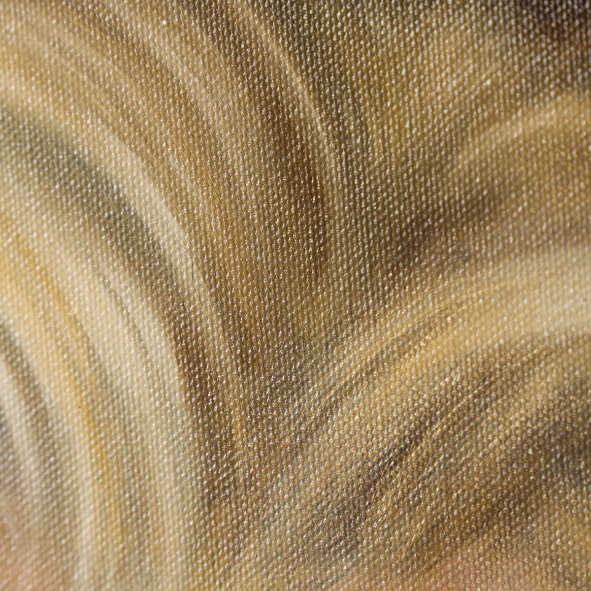 SRS ORI POR 29833 6 Guilleme