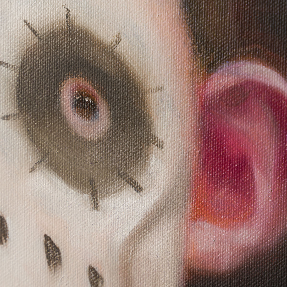 SRS ORI POR 29836 5 Juan