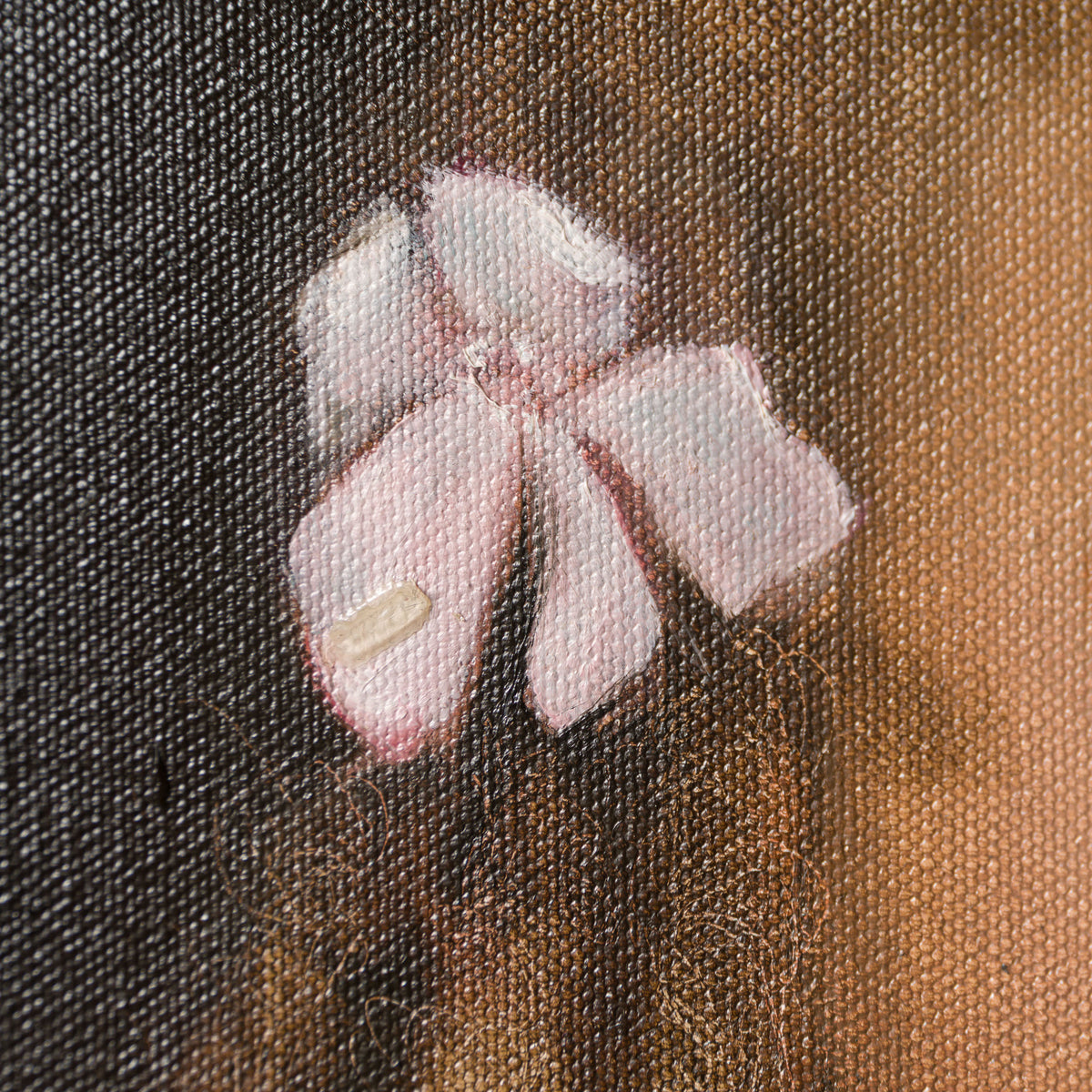 SRS ORI POR 29844 4 Nilufar