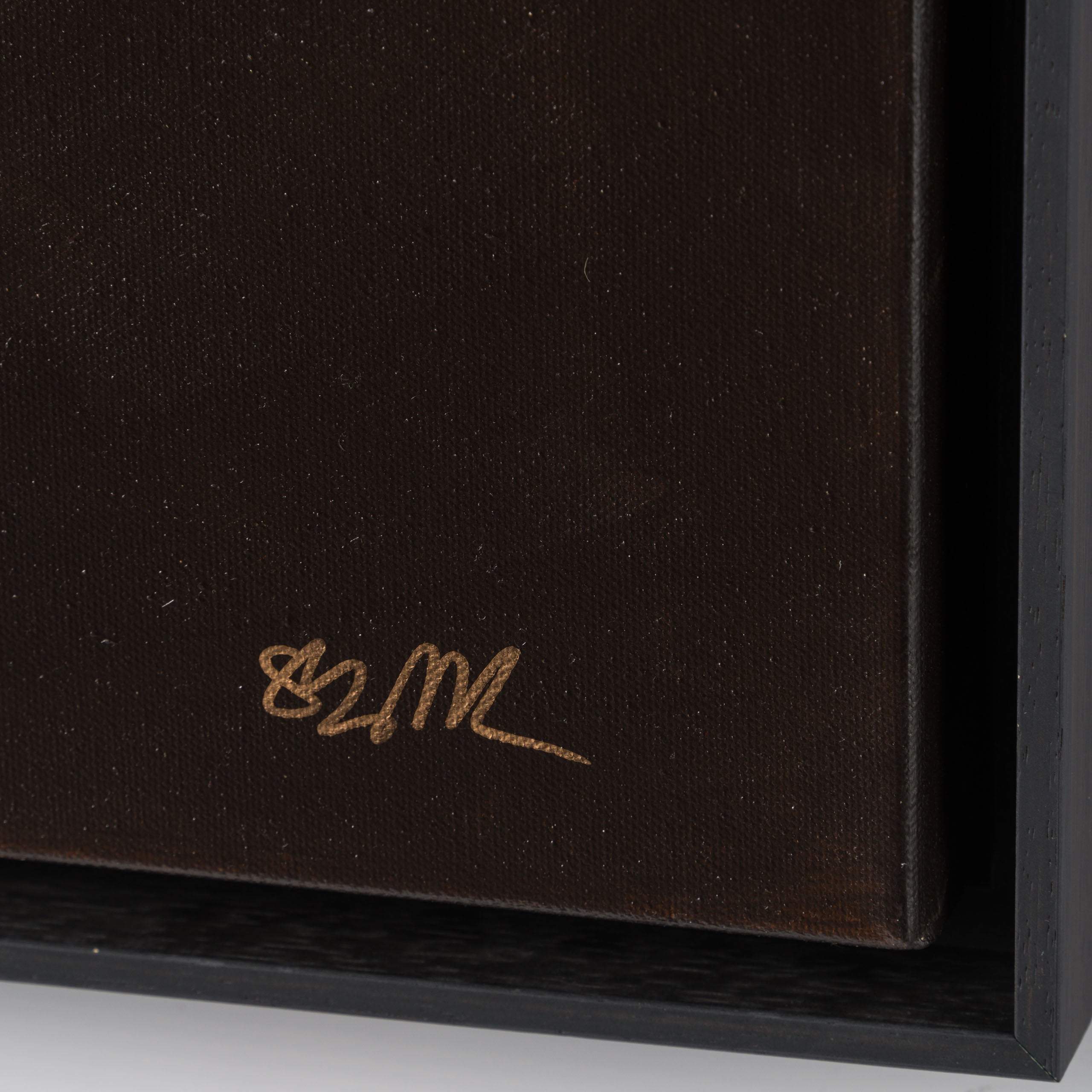 SRS ORI POR 30931 Gene 3